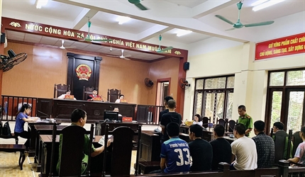 Viện KSND huyện Gia Lâm phối hợp với TAND cùng cấp tổ chức phiên tòa...